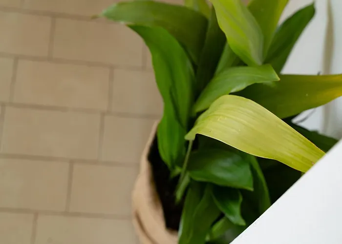 아파트 - Two Bedroom With Terrace And Sea View 몰루나트